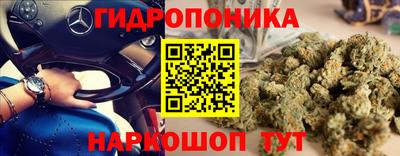 Альфа ПВП Можайск