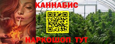 стафф Моздок
