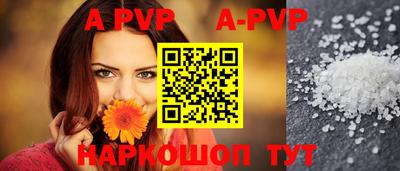 стафф Моздок